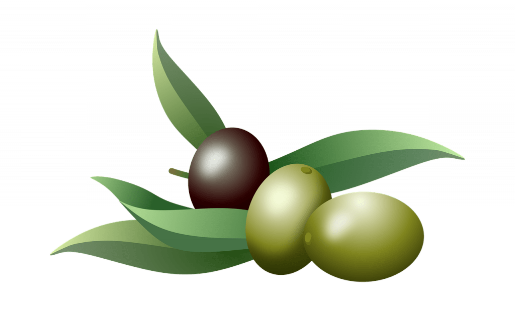 olives, oil, fruits-3841403.jpg